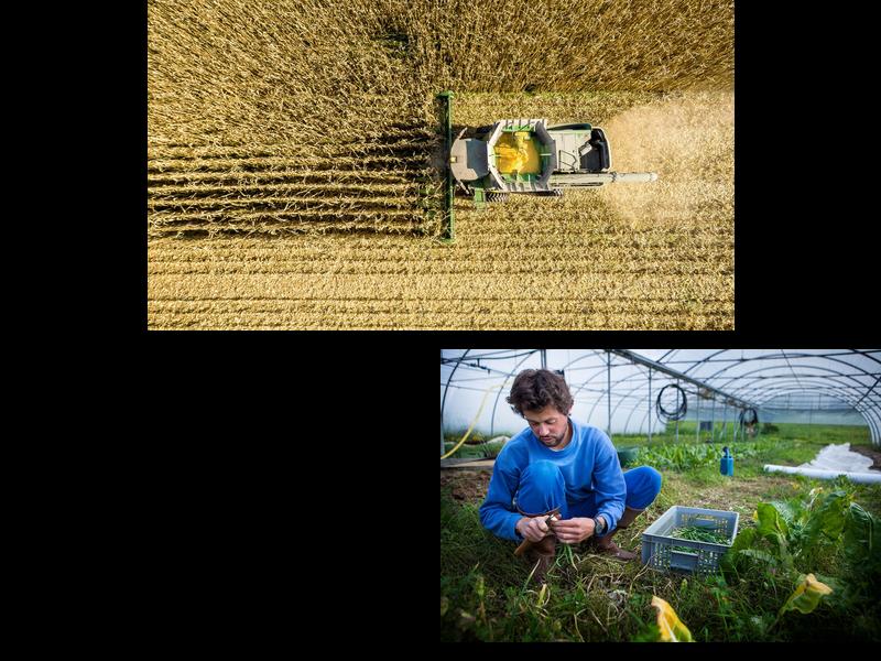 How can diversification in agricultural systems contribute to a resilient and sustainable future for American farming?