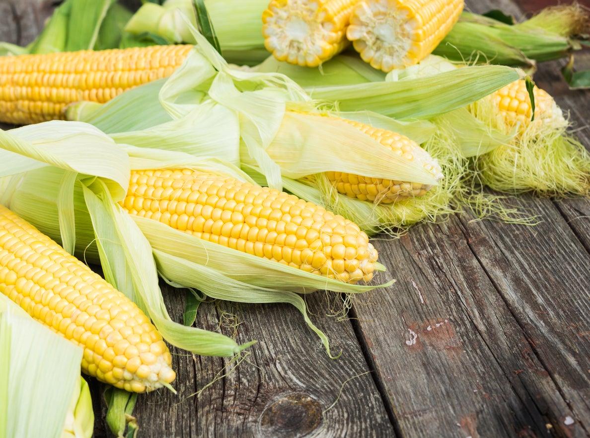 Planting Sweet Corn: Learn About Different Types Of Sweet Corn Crops