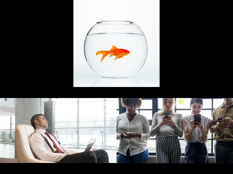 Is technology shaping our attention spans: for better or worse?