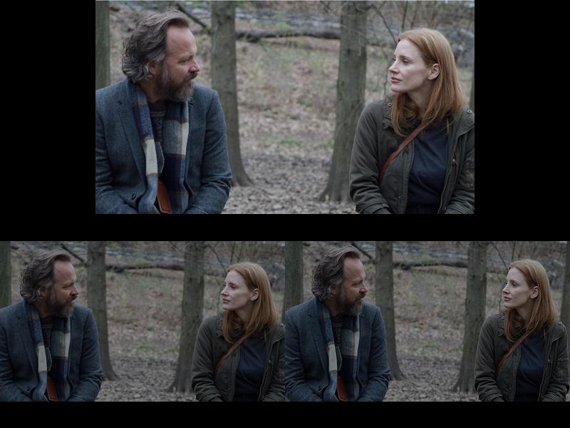 Peter Sarsgaard's Chances for an Oscar Nomination: A Riveting Performance in 'Memory'